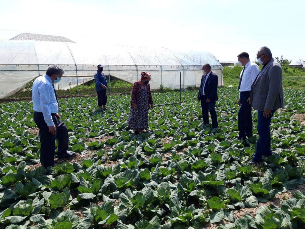 Ганиев дониёр авазович. Қалампир ўз ўзбекистон ва. Подпись шавкат мирзиеев. Помидор нархи узбекистонда. Қалампир ўз ўзбекистон ва.