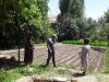 ТОМОРҚАДА ИШЛАГАН КАМ БЎЛМАЙДИ